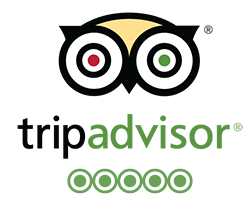 tripadvisor-reviews.png